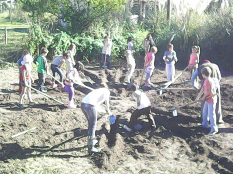 El sentido del trabajo en la Granja « Escuela Waldorf Clara de Asís