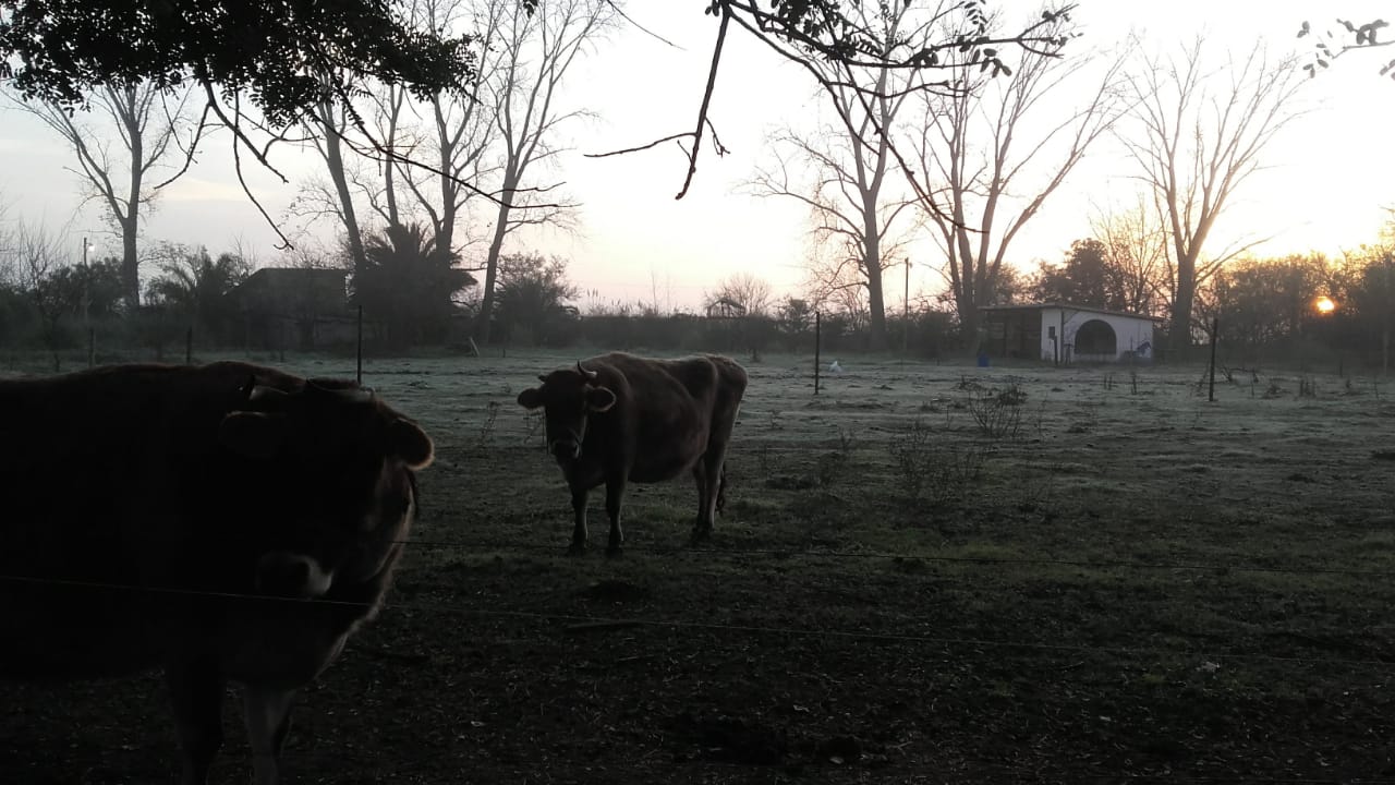granja1