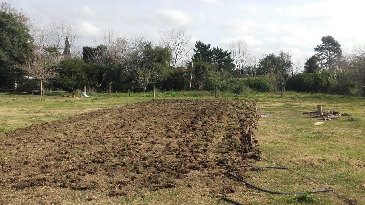 pradera
